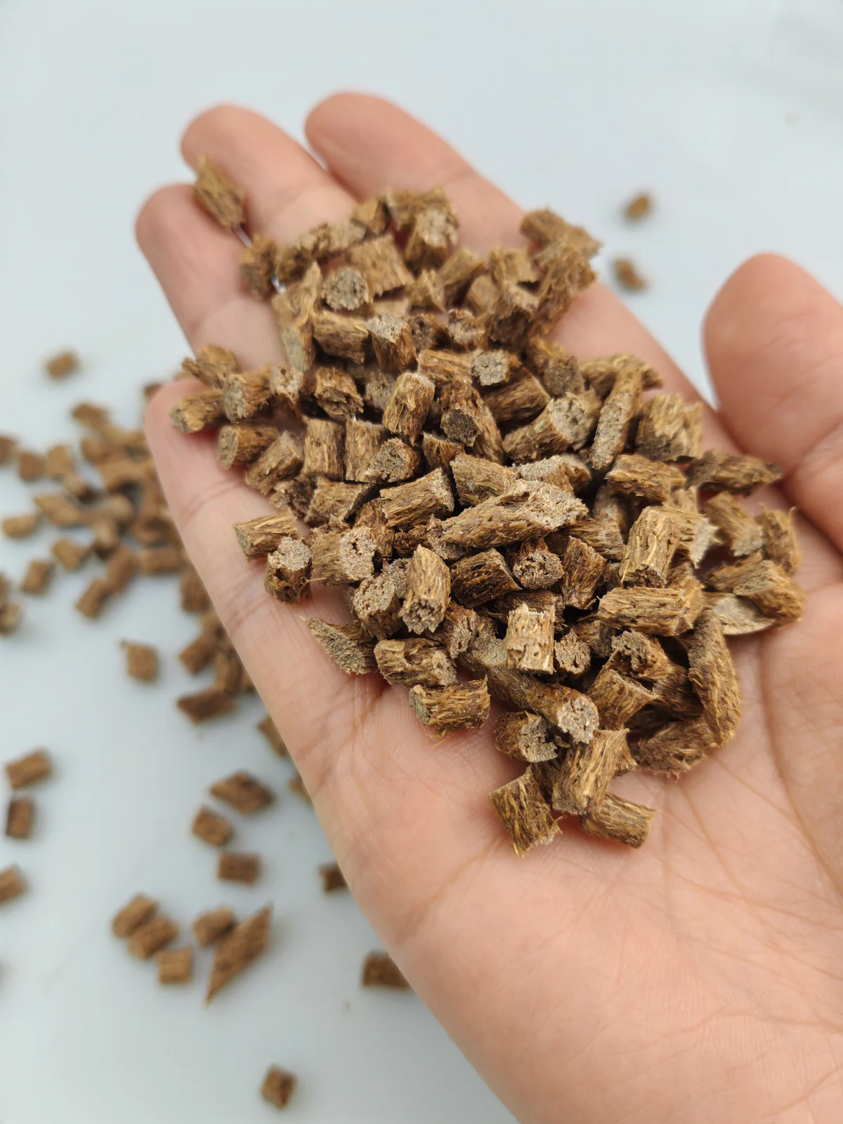 Palm fiber PP masterbatch pellets held in hand